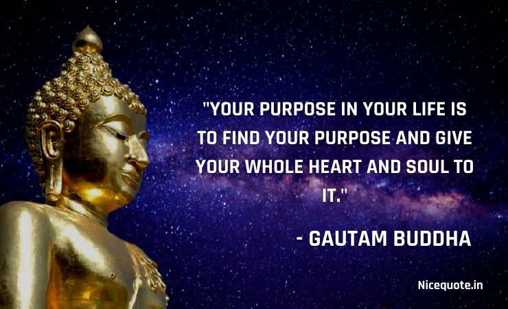 22 Best Gautam Buddha Quotes On Love, Life, Peace, And Death December 2023