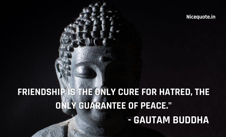 lord buddha quotes