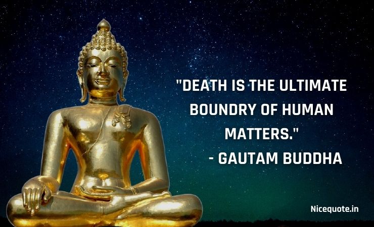 quotes of buddha with images