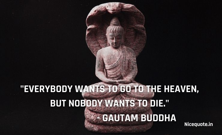 buddha images quotes