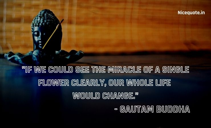 quotes of buddha with images