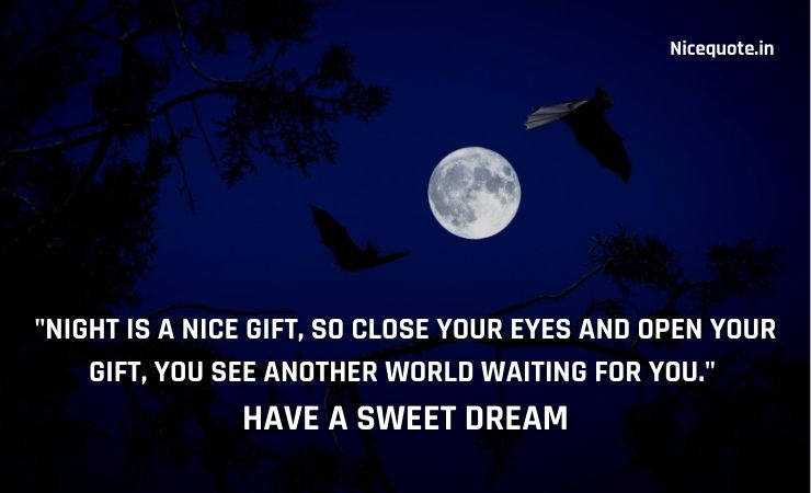 Good Night Quotes