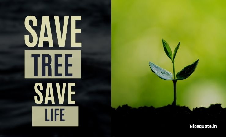Slogan on save trees
