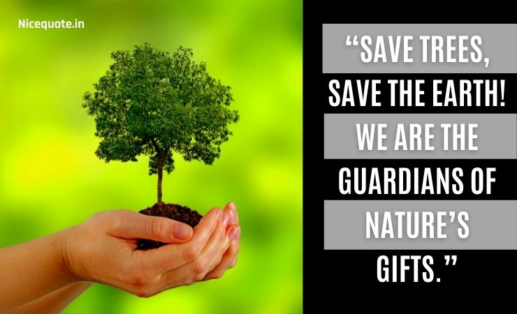 slogans on save trees, Save trees, save the earth! we are the guardians of nature’s gifts.