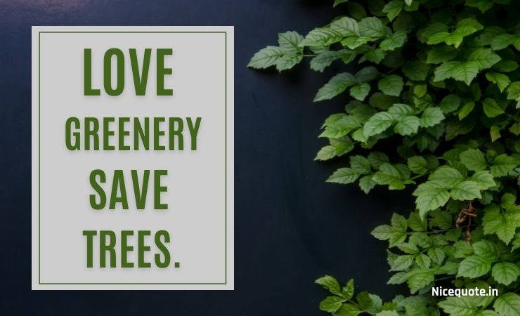 slogan on save tree