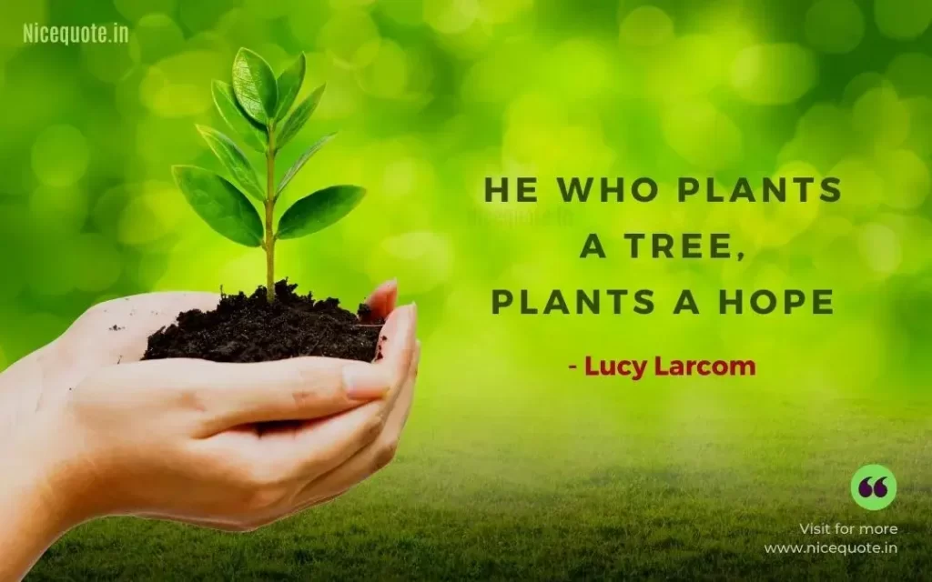 Plant trees quotes