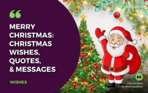 Merry Christmas Wishes