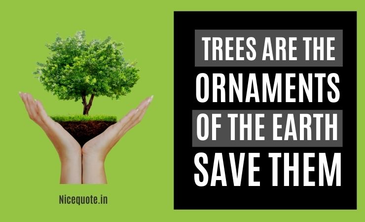 save tree slogans, Trees are the ornaments of the earth. Save them.