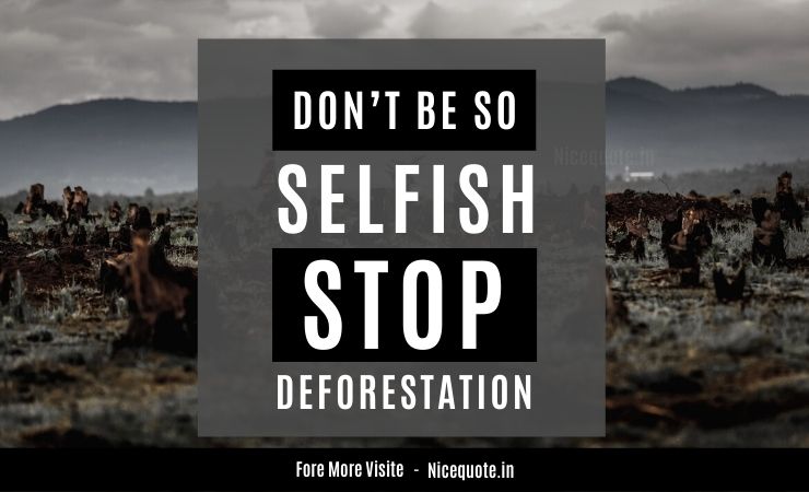 Save tree Quotes image, “Don’t be so selfish, Stop deforestation.”
