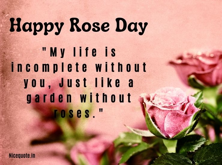 Happy Rose Day Quotes 2024