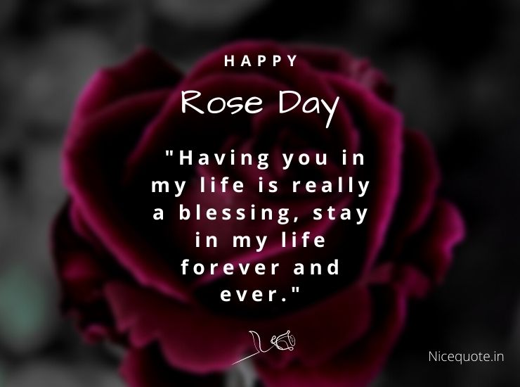 Happy Rose Day Quotes and Wishes for 2022