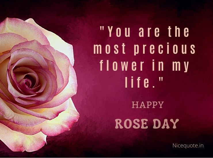 Happy Rose Day Quotes and Wishes for 2023