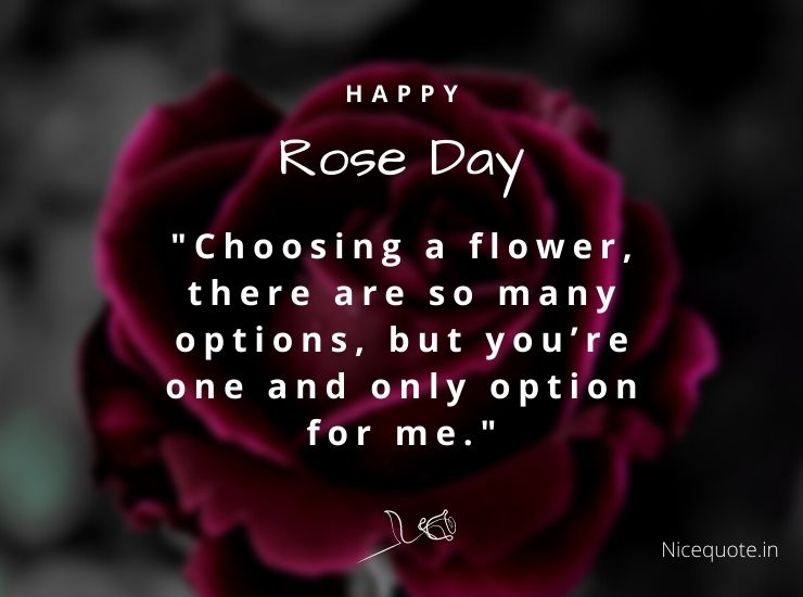 Happy Rose Day Quotes 2024