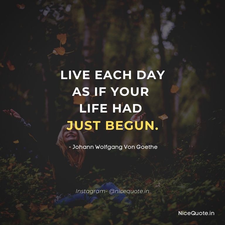 Nice Quote on live life freely with no regret