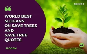 Save trees quotes and Save tree slogans